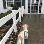 Amherst Boarding Kennel