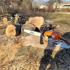 Michiana Tree Service gallery