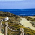 Asilomar Hotel & Conference Grounds