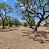 Concho Valley Land Clearing gallery