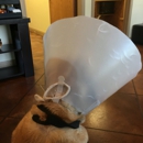 Heart of Texas Veterinary Specialty Center & 24 Hour Emergency Center - Veterinary Clinics & Hospitals