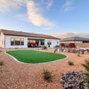 Purchase Green Artificial Grass - Artificial Grass