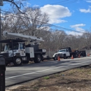 Letts Tree Service - Tree Service