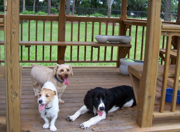 Dog Kidz Country Daycare & Boarding - Vero Beach, FL