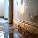 Radical Restorations Inc - Crime & Trauma Scene Clean Up
