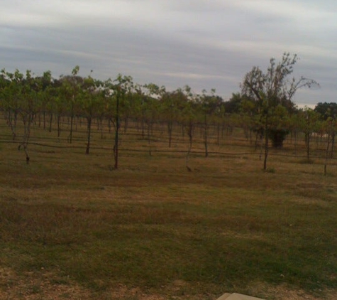 Solaro Estate Winery - Dripping Springs, TX