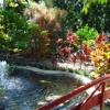 Sunken Gardens gallery