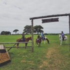 Brunson Equestrian Center