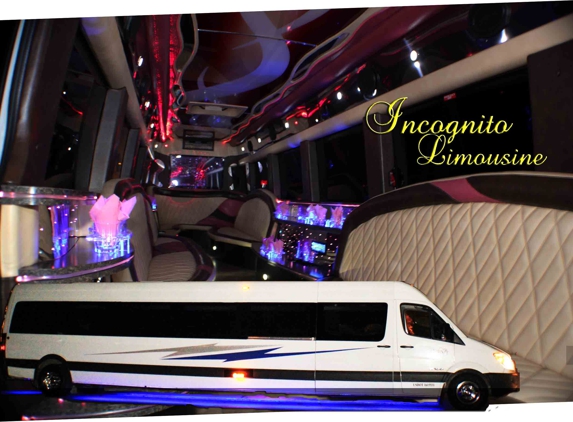 Incognito Limousine - Roseville, MI