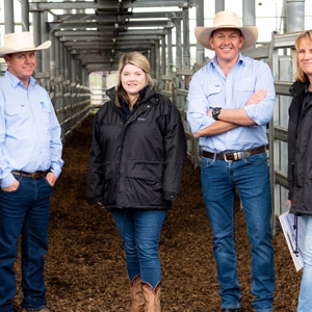 Baileys Property & Livestock - Singleton, NSW