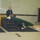 Prairie Dog Boarding, Grooming and Canine Daycare - Pet Services