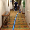 Carpet Savers gallery