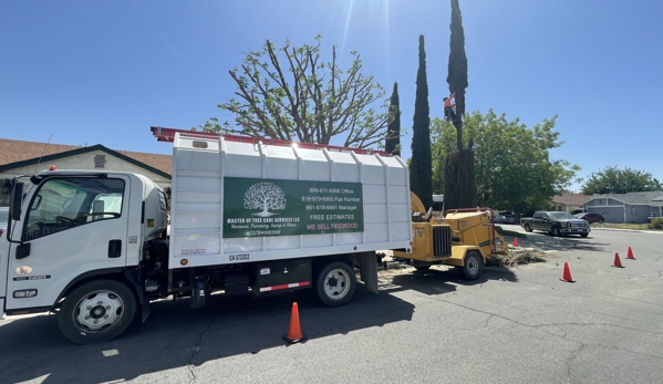 Pedro Lopez Tree Service - Palmdale, CA