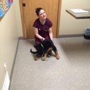 Hall Veterinary Clinic - Veterinarians
