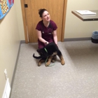 Hall Veterinary Clinic