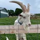 Simmons Farm Petting Zoo - Petting Zoos