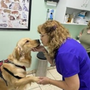 Four Paws Angels Animal Clinic - Veterinary Clinics & Hospitals