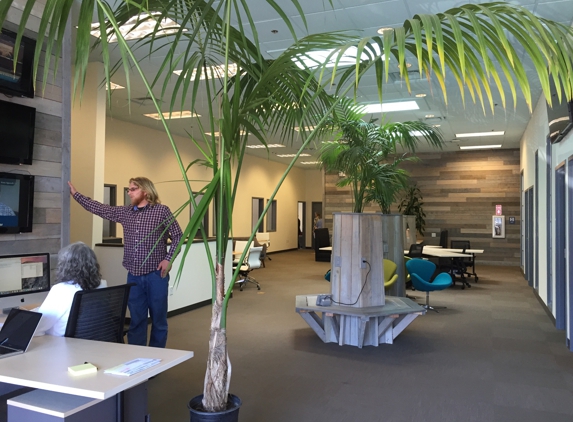 The Satellite Flexible Workspace and Digital Media Studio - Santa Cruz, CA