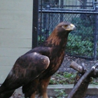 Sulphur Creek Nature Center