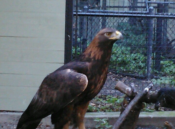 Sulphur Creek Nature Center - Hayward, CA