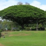 Queen Liliuokalani Gardens