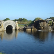 Gallery Image Number 7