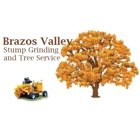 Brazos Valley Stump Grinding And Tree Service