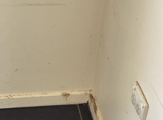 Elite Cleaning - Wagga Wagga, NSW