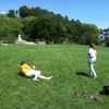 Marquette Park Playground gallery