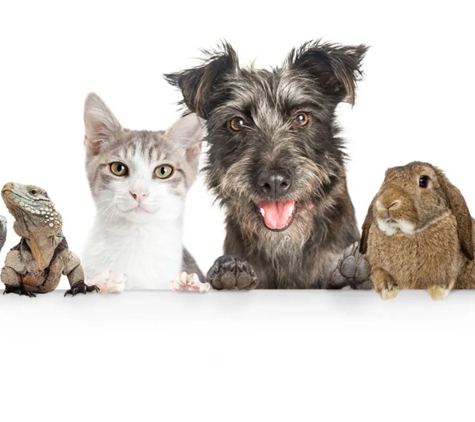Wetherill Park Vet Clinic - Wetherill Park, NSW