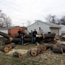 Timber Pros Tree Service - Tree Service