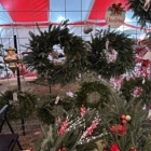 T & C Christmas Tree Farm