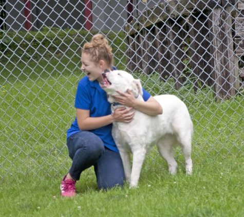 Pine Creek Kennels Pet Resort - Benton, PA