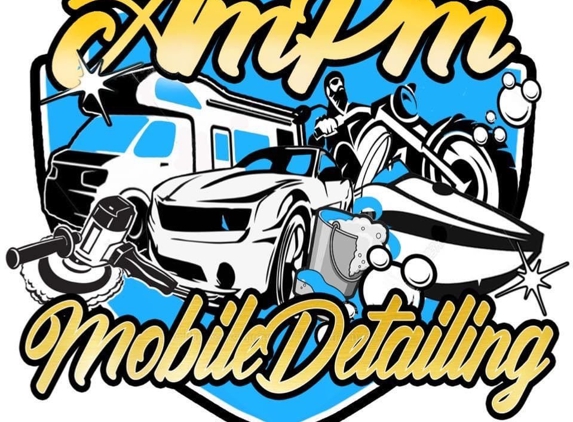AMPM Mobile Auto Detailing LLC - Tampa, FL