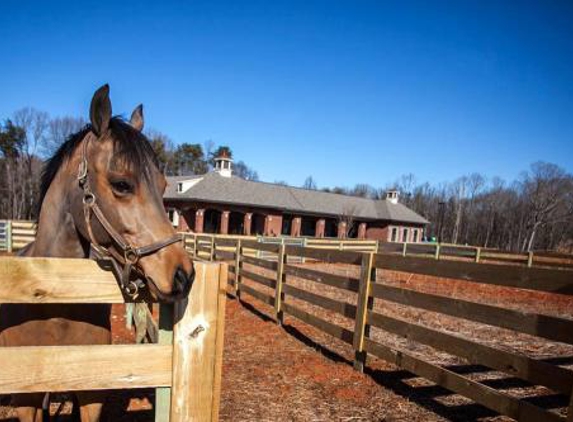 Carolina Equine Hospital - Browns Summit, NC