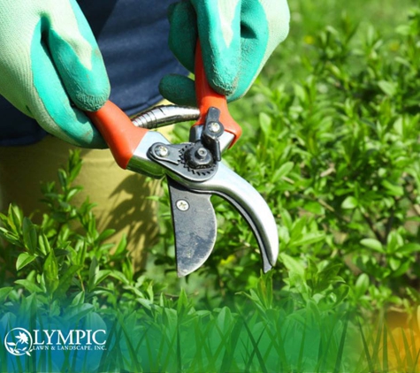 Olympic Lawn & Landscape, Inc. - Lees Summit, MO