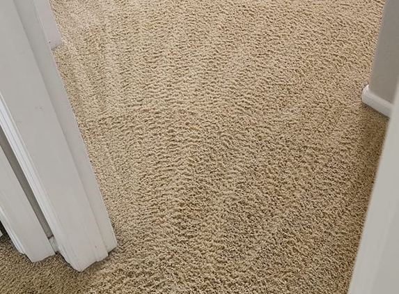 Elite Carpet Care, LLC - Brighton, CO
