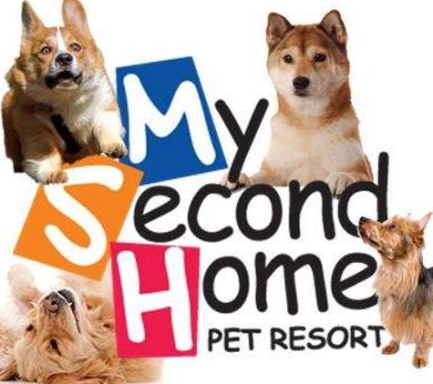 My Second Home Pet Resort - Franklin, TN