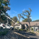 Newcomb Tree Experts, Inc - Tree Service