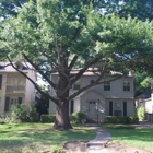 Arboretum Tree Services