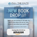 Pull the Chute - Business Coaches & Consultants