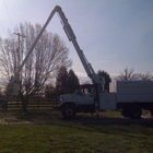 Central Tree Service