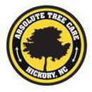 Absolute Tree Care of Hickory - Cranes