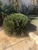 BJK Lawn Care - Lawn Cutting & Maintenance