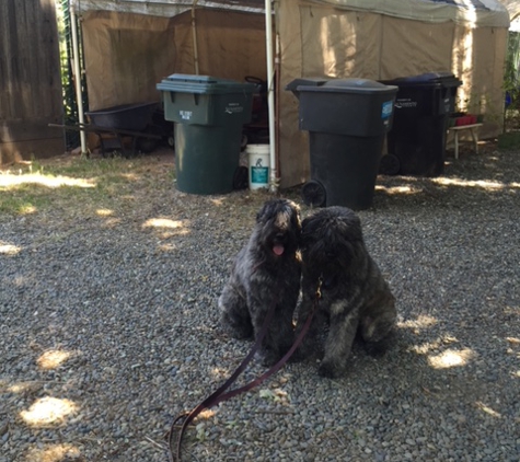 Wag Time Dog Training - Antelope, CA