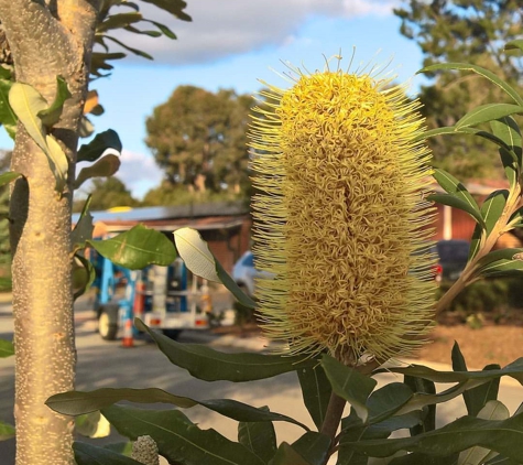 Banksia Tourist Park - Hazelmere, WA
