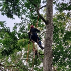 Bob's Tree Services