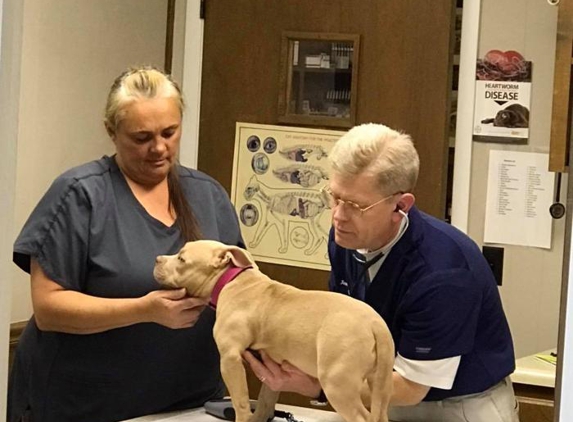 Bellshire Family Vet - Nashville, TN