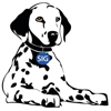 Nationwide Insurance: Spotts Insurance Group Agency gallery