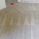 DOMINIC CARPET CLEANING SERVICE - Carpet & Rug Cleaners